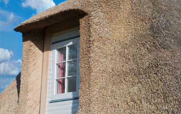 Coupland thatch roof disadvantages